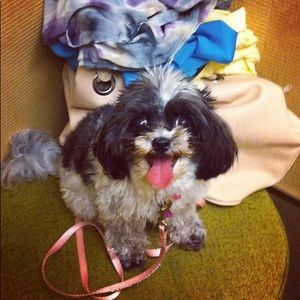 Meet your Posher, Mara